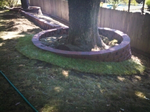 tree rings landscaping kansas city missouri