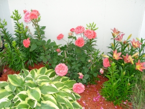 flower beds landscaping kansas city missouri
