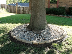 tree rings landscaping kansas city missouri