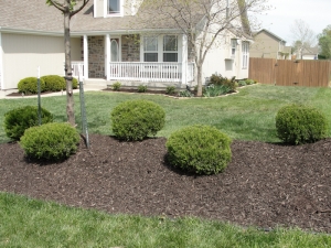 flower beds landscaping kansas city missouri