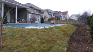 Pool Remodeled Landscape Lenexa Kansas